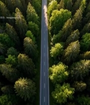  森林中道路航拍全景1829#竖屏 	 