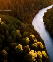  森林河流航拍全景4760#竖屏 	 