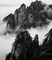  黄山云海自然风光(3)7823#竖屏 	 