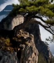  黄山云海景观6608#竖屏 	 