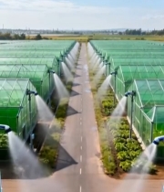  货车行驶在温室大棚间道路3260#竖屏 	 