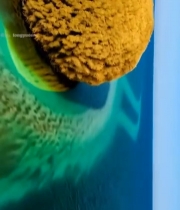  黄色海绵特写3636#竖屏 	 