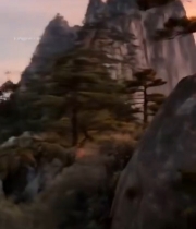  黄山日出云海松树景观696#竖屏 	 