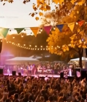  户外音乐会现场观众群像1555#竖屏 	 