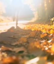  人在秋日林间小道上行走4457#竖屏 	 