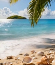  热带海滩海景及沙滩贝壳素材2074#竖屏 	 