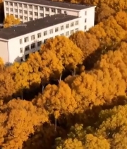  秋季校园建筑鸟瞰5589#竖屏 	 