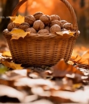  秋日林间装满核桃的藤编篮子2087#竖屏 	 