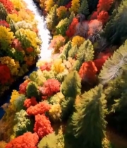  秋季森林河流航拍全景6949#竖屏 	 