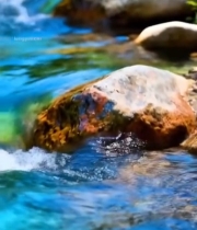  清澈溪流中的多彩石头1454#竖屏 	 