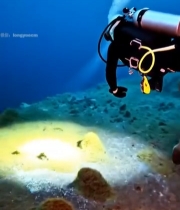  潜水员海底管道间潜水画面1561#竖屏 	 