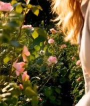  女子嗅闻粉色玫瑰花素材3227#竖屏 	 