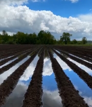 农田雨后积水天空倒影景象2864#竖屏 	 