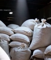  农民查看手中谷物7572#竖屏 	 