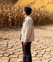  男子站在干裂土地与玉米地前6989#竖屏 	 