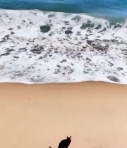  木碗装海边白晶体食品特写2441#竖屏 	 