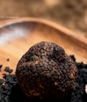  木盘上的黑松露特写2154#竖屏 	 