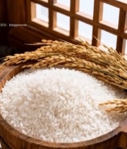  木桶中盛放的大米与稻穗3324#竖屏 	 