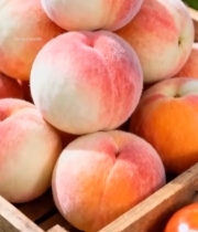  木筐中堆放的新鲜水蜜桃2081#竖屏 	 