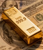  美元钞票上的金条特写(1)5411#竖屏 	 