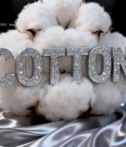  棉花特写与闪亮文字素材1604#竖屏 	 