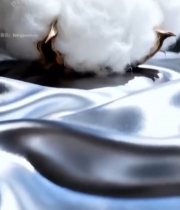  棉花特写搭配闪亮字母素材1054#竖屏 	 