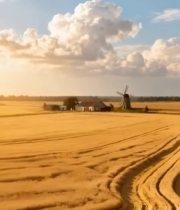  麦田风车乡村风光(1)1375#竖屏 	 