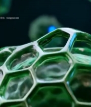  绿色细胞状球体素材7241#竖屏 	 