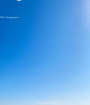  蓝天大海上飞翔的海鸥5679#竖屏 	 