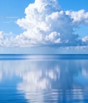  蓝天白云下的平静海面819#竖屏 	 