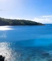  蓝天白云下的美丽海滩3978#竖屏 	 