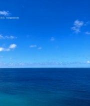  蓝色大海与晴朗天空景观5979#竖屏 	 