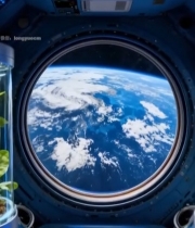  空间站内俯瞰地球景观4682#竖屏 	 