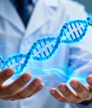  科研人员展示模型5386#竖屏 	 