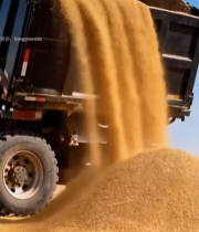  卡车倾倒谷物农业场景2540#竖屏 	 