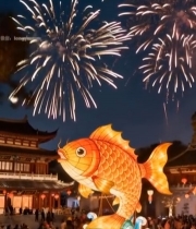  节日夜景鲤鱼花灯烟花场景3759#竖屏 	 