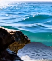  礁石下海水滴落入海特写6978#竖屏 	 