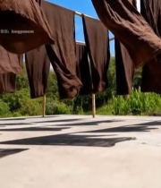  户外晾晒棕色布料927#竖屏 	 