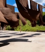  户外晾晒棕色布料(1)7589#竖屏 	 