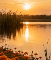  湖畔日落自然风光865#竖屏 	 