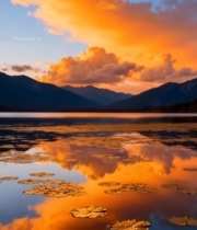  湖面夕阳晚霞自然风光5428#竖屏 	 