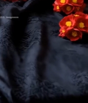  黑布上的红色花朵特写816#竖屏 	 
