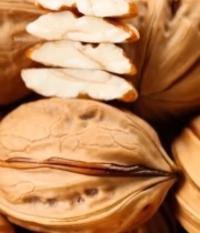  核桃及核桃仁特写素材2934#竖屏 	 