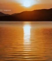  湖面夕阳全景4356#竖屏 	 