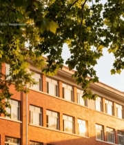  红砖建筑与绿树光影画面2714#竖屏 	 