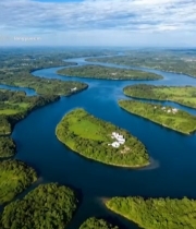  航拍河流森林自然风光231#竖屏 	 