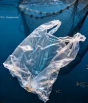  海洋中的塑料垃圾特写(1)6442#竖屏 	 