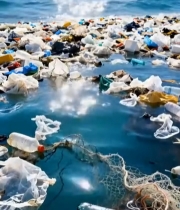  海洋表面漂浮的塑料垃圾1758#竖屏 	 