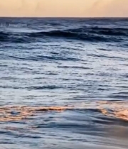  海洋翻涌浪花特写5530#竖屏 	 