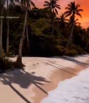  海滩夕阳下的椰林海景4361#竖屏 	 